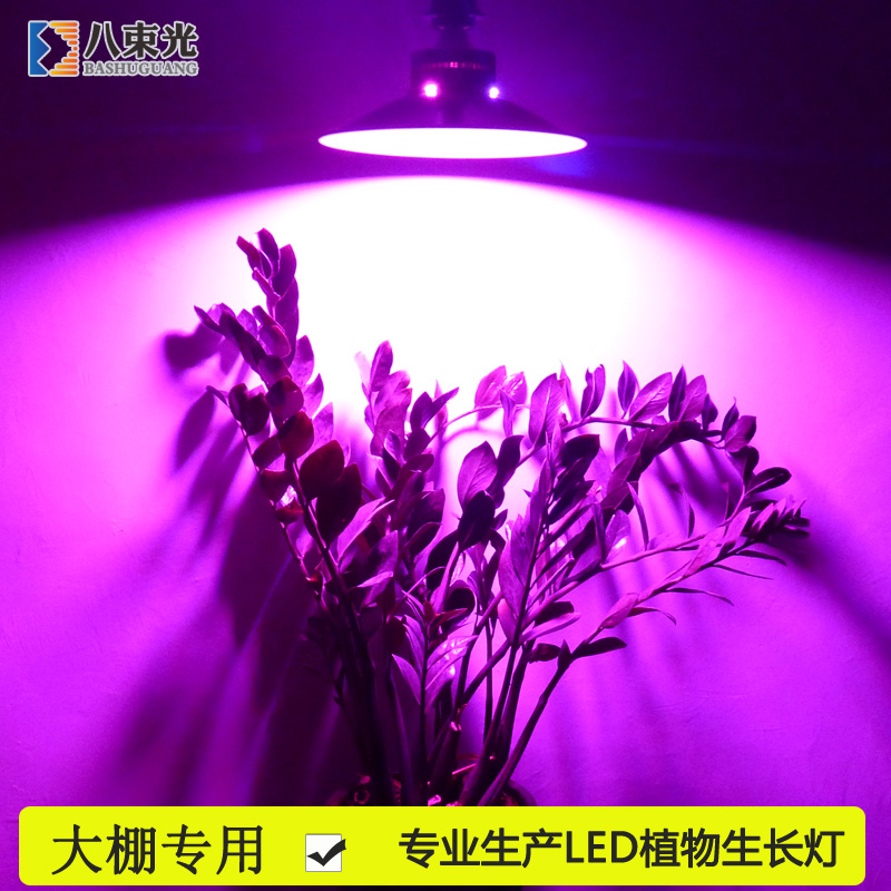 led植物生长灯多肉植物全光谱室内大棚补光灯兰花蔬果光合作用灯